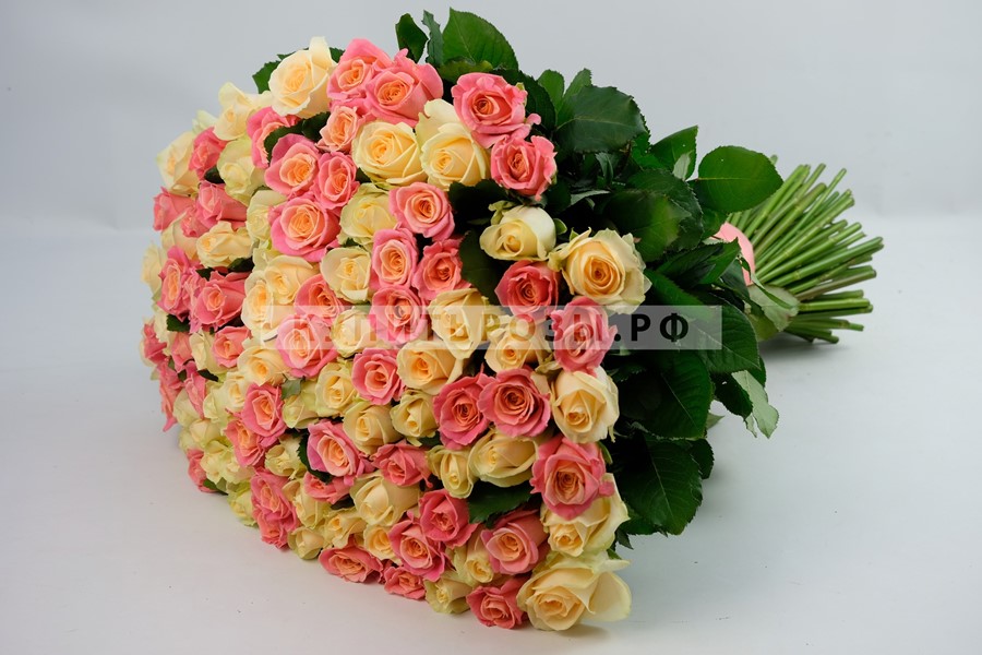 Букет роз Сеньорита из 101 розы